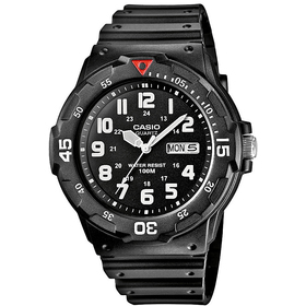 Casio Standard Férfi karóra